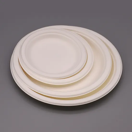 Biodegradable Sugarcane Bagasse Tableware Dish Carry