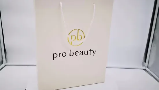 Printed Custom Recycled Paper Bag Gift Bag with Logo 