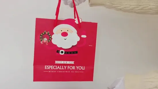 Promotional Jewelry Advertisement Printing Creative Paper Bag with Inserted Handle 