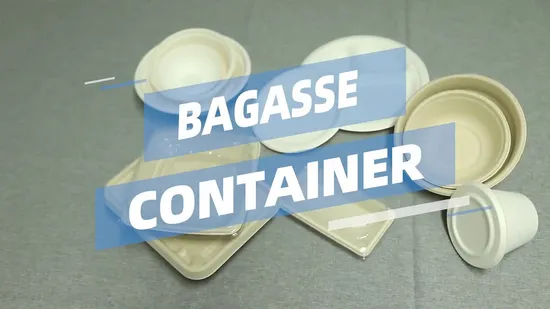 Hot Sale Disposable Sugarcane Pulp Bagasse Paper Plates 