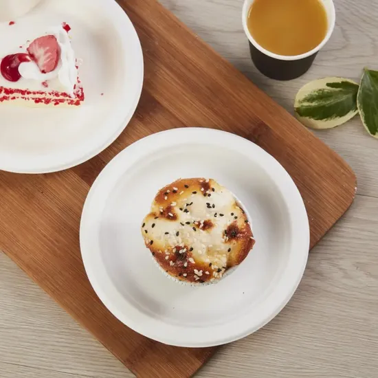 Biodegradable Disposable Takeaway School Sugarcane Paper Pulp Molded Food Lunch Plates 